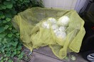建物設備 パナハイツ伊藤
