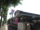 バーミヤン 宮前平店(その他飲食（ファミレスなど）)まで282m ルピナス宮前平