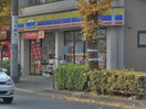 ミニストップ狛江岩戸北店(コンビニ)まで240m ヤマニアパ－トメント