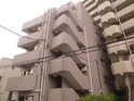 完成写真