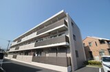 プラム湘南