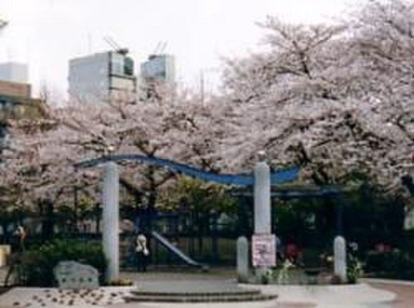 浜川公園(公園)まで130m アルコーブ南大井