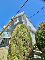 アリビオＫ　Ⅲ