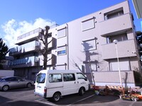 ガーデンヴィオラ