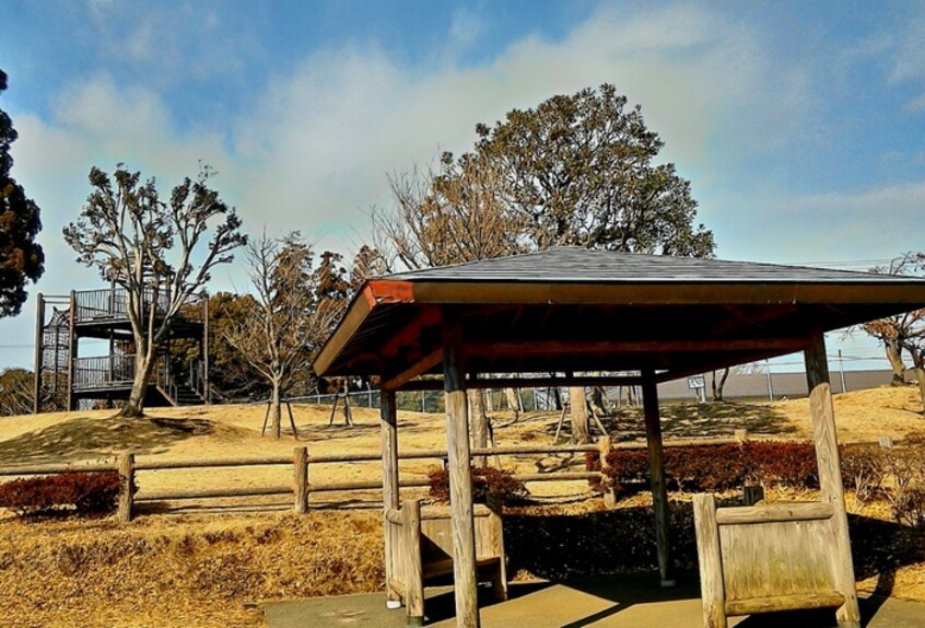 大坂台公園(公園)まで305m 千寿コーポラス