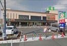 ライフ上鶴間店(スーパー)まで500m ガ－デンヒルズ