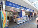 ハックドラッグ(ドラッグストア)まで528m ベル・シャトー