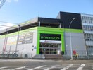 ロイヤルホームセンター(電気量販店/ホームセンター)まで1290m フローレンハイム