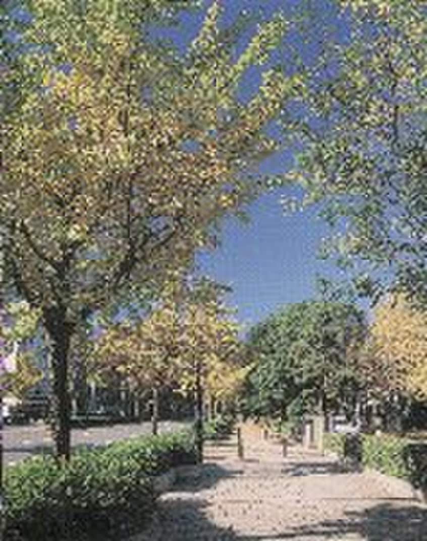 富士見公園(公園)まで452m Patio中島