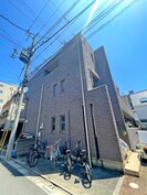 アズーリ蓮根の外観