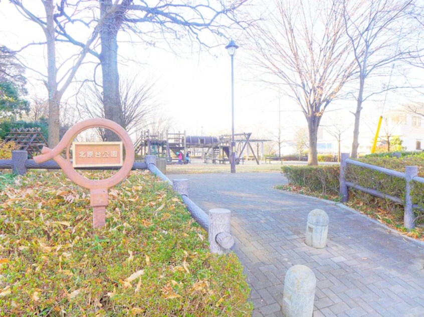 北原台公園(公園)まで650m カルダカーサ