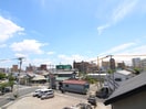 室内からの展望 ベイ・ドルフィン