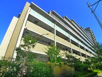 ｻﾞﾐｯﾄﾞﾗﾝﾄﾞｱﾍﾞﾆｭｰ（306）