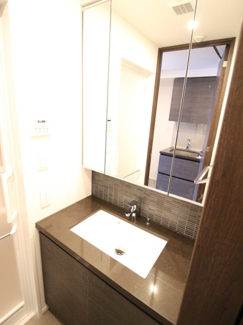 洗面 ザ・パークハビオ西大井