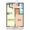 グランルミエール 1LDKの間取り