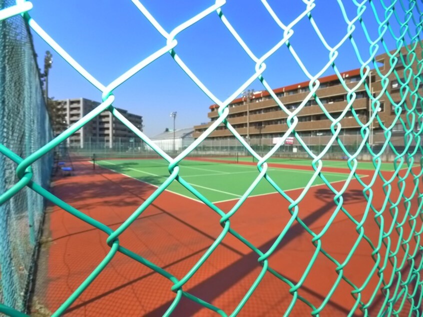 ひまわりテニスクラブ(公園)まで346m メゾン千代田