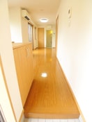 廊下 メゾンＢ・Ｉ市川