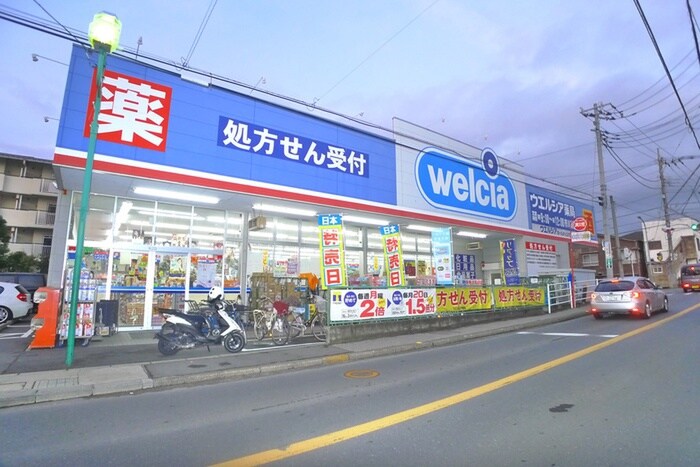 ウエルシア東国分店(ドラッグストア)まで600m 亀井マンション