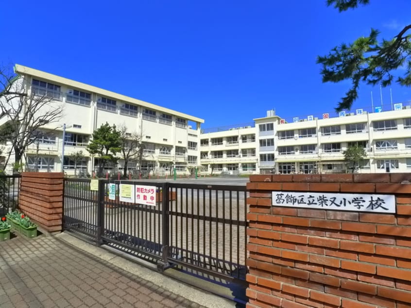 葛飾区立柴又小学校(小学校)まで282m メゾン　コテイ