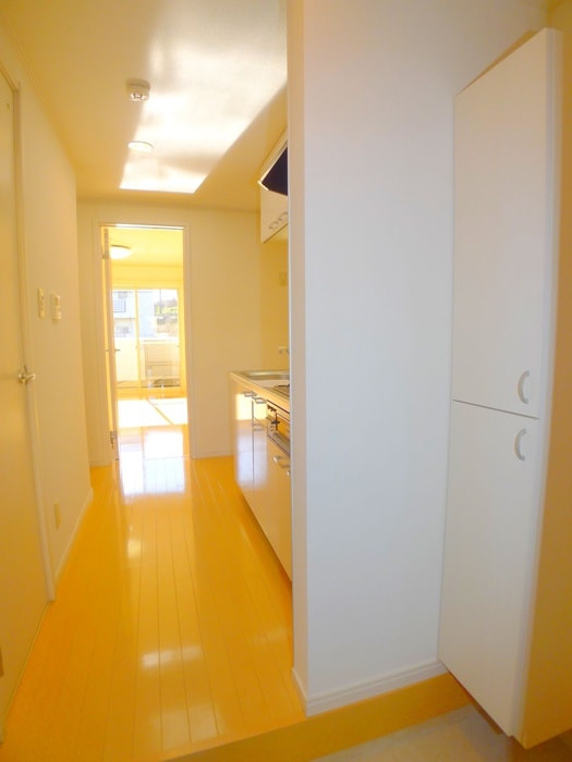 靴箱 プランド－ルソフィアⅢ