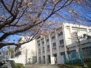 横浜市立平戸中学校(中学校/中等教育学校)まで930m ウィステリア