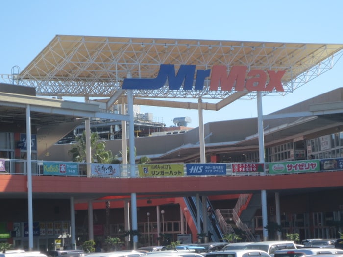 ミスターマックス(ディスカウントショップ)まで650m ビーマインⅡ