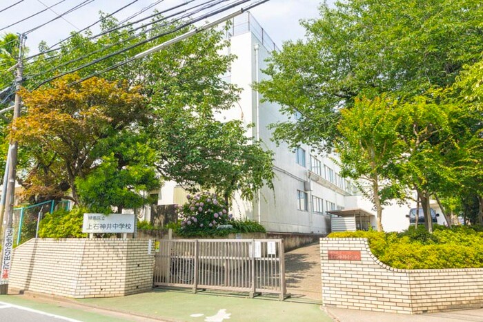 練馬区立上石神井中学校(中学校/中等教育学校)まで514m メゾン・ド・ティーグルⅢ