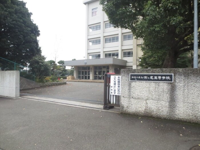 神奈川県立市ヶ尾高等学校(高等学校/高等専門学校)まで546m ネッスルＴＭ