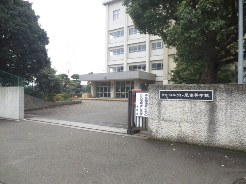神奈川県立市ヶ尾高等学校(高等学校/高等専門学校)まで546m ネッスルＴＭ