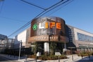ライフ桜新町店(スーパー)まで344m ハイム鶴岡