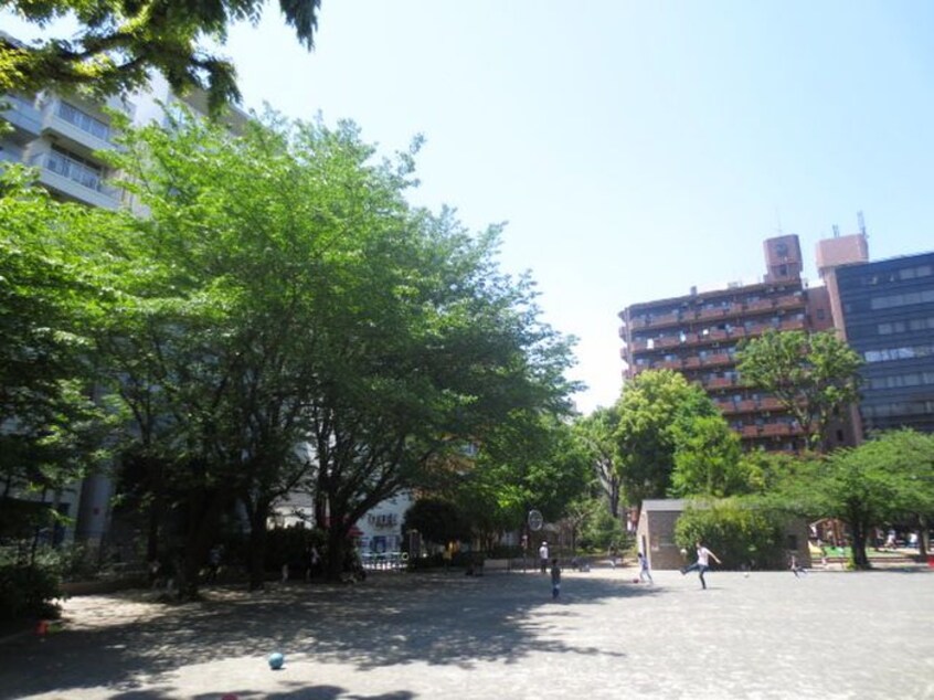 新宿区立花園公園(公園)まで180m S-RESIDENCE新宿御苑