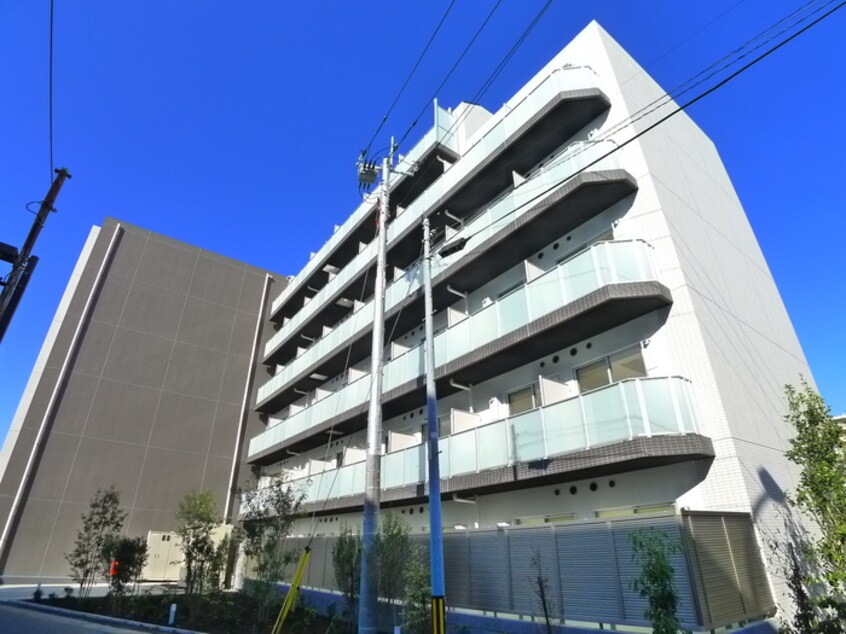 その他 ＨＹ‘ｓ　ＴＯＤＡ　ＭＡＸＩＶ