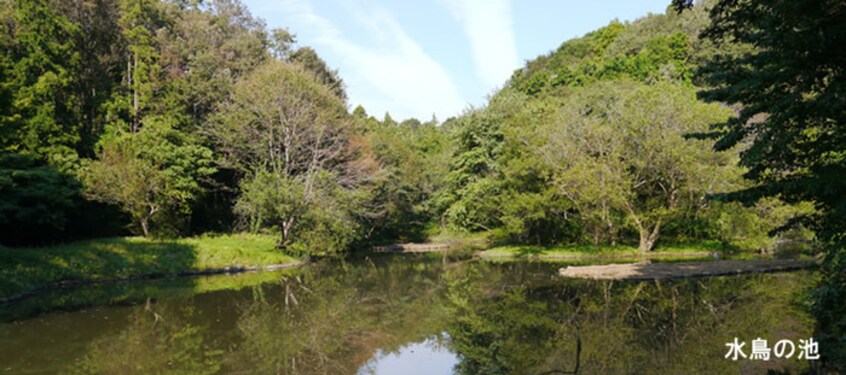 座間谷戸山公園(公園)まで164m ラフィネ相武台