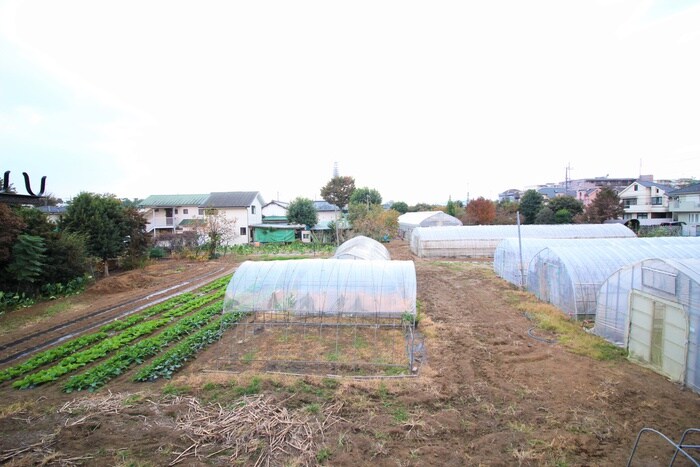 室内からの展望 泉荘