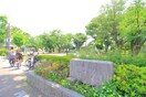 板橋区常盤台公園(公園)まで220m ヴィラ・エース