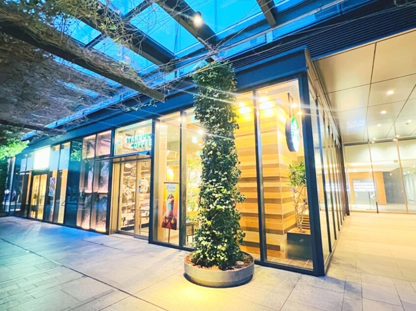 スターバックス(カフェ)まで550m キャナルスクウェア豊洲