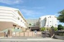 朝霞市立朝霞第一中学校(中学校/中等教育学校)まで245m 榎本方テラスハウス２