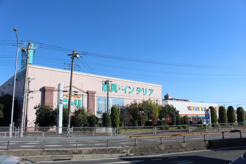 ニトリ　トイザラス(ディスカウントショップ)まで470m ファミール妻田