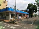 ローソン 富士見水谷店(コンビニ)まで329m リブリ・Ｎｅｅｄｓ Ⅱ