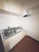 キッチン グリーンセピア