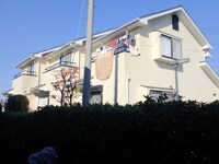 ＫテラスⅡＤ棟