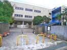 市立市川小学校(小学校)まで193m Ｒｕｓｃｅｌｌｉａ市川