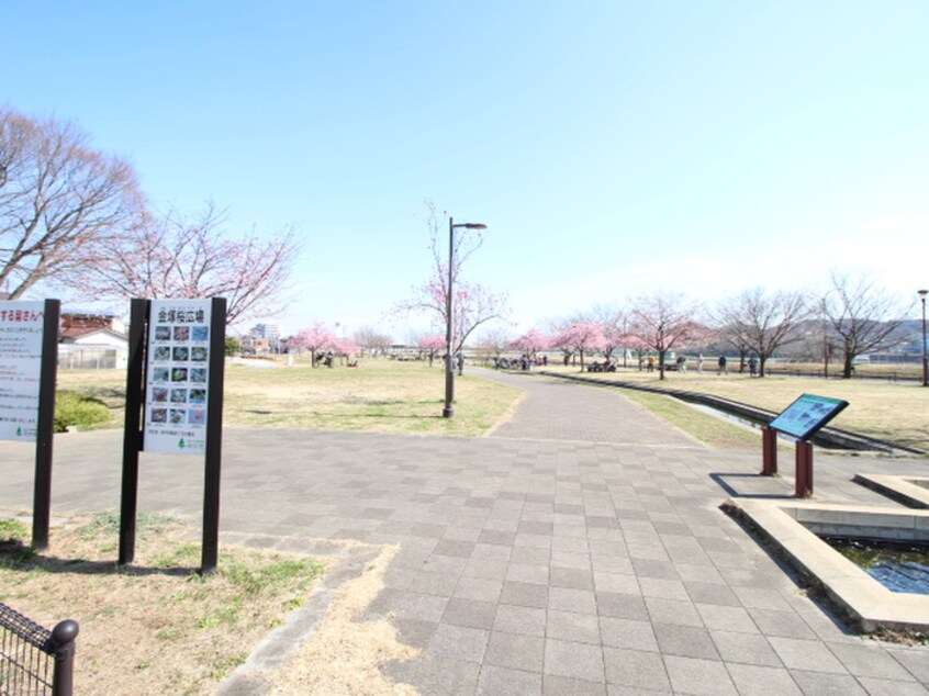 郷土の森公園(公園)まで3300m 沙羅