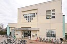 国分寺市立並木図書館(図書館)まで550m ソフィアガ－デンⅢ