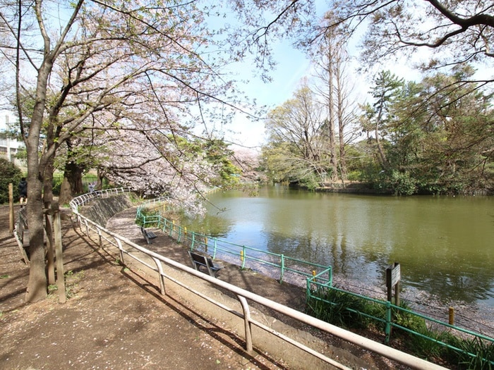 武蔵関公園(公園)まで600m 関町レジデンス
