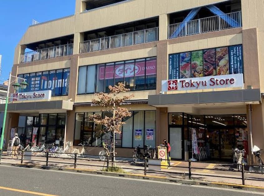 東急ストア上池台店(スーパー)まで387m セザール東雪谷