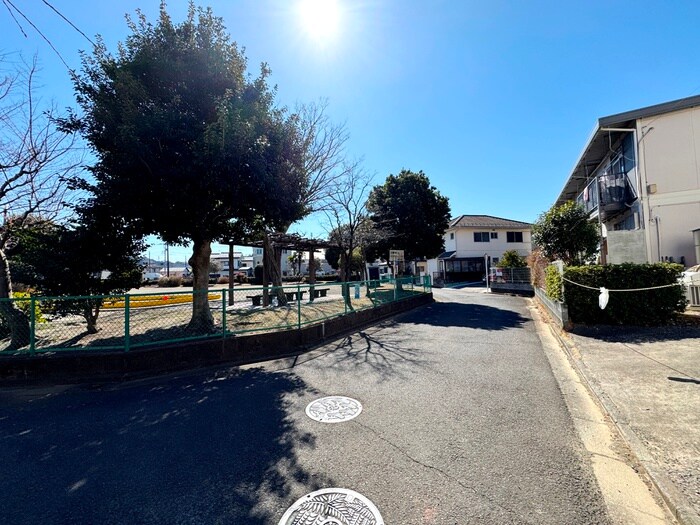 周辺環境 オリーブ湘南