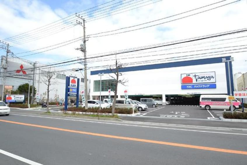 たまや鎌倉手広店(スーパー)まで1000m オリーブ湘南