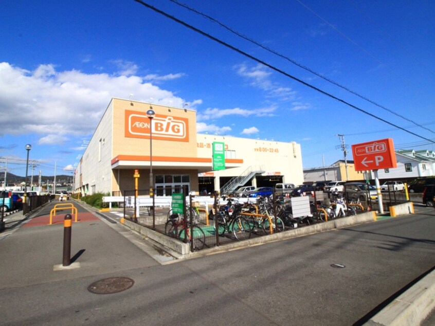 ビック(スーパー)まで360m オンディーヌ