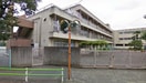 調布市立第二小学校(小学校)まで260m Aifort. 国領